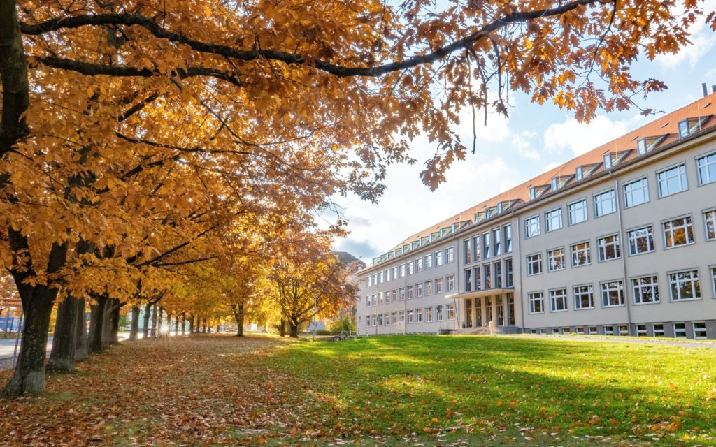 Syllabus Consult for Academic Programs